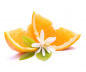 Preview: Früchtetee Orangeneis